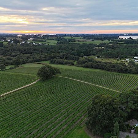 Gite -L'Appart- Au Vignoble Domaine Lamballe, Baden, Golfe Du Morbihan Exterior foto