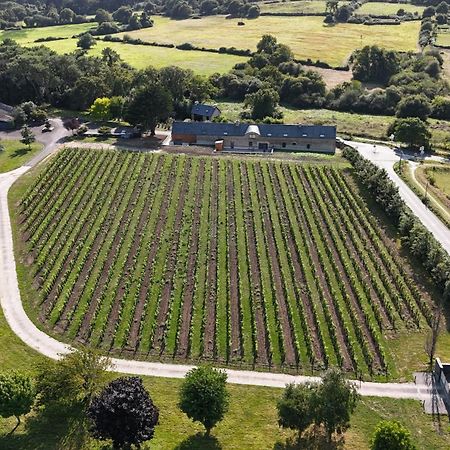 Gite -L'Appart- Au Vignoble Domaine Lamballe, Baden, Golfe Du Morbihan Exterior foto