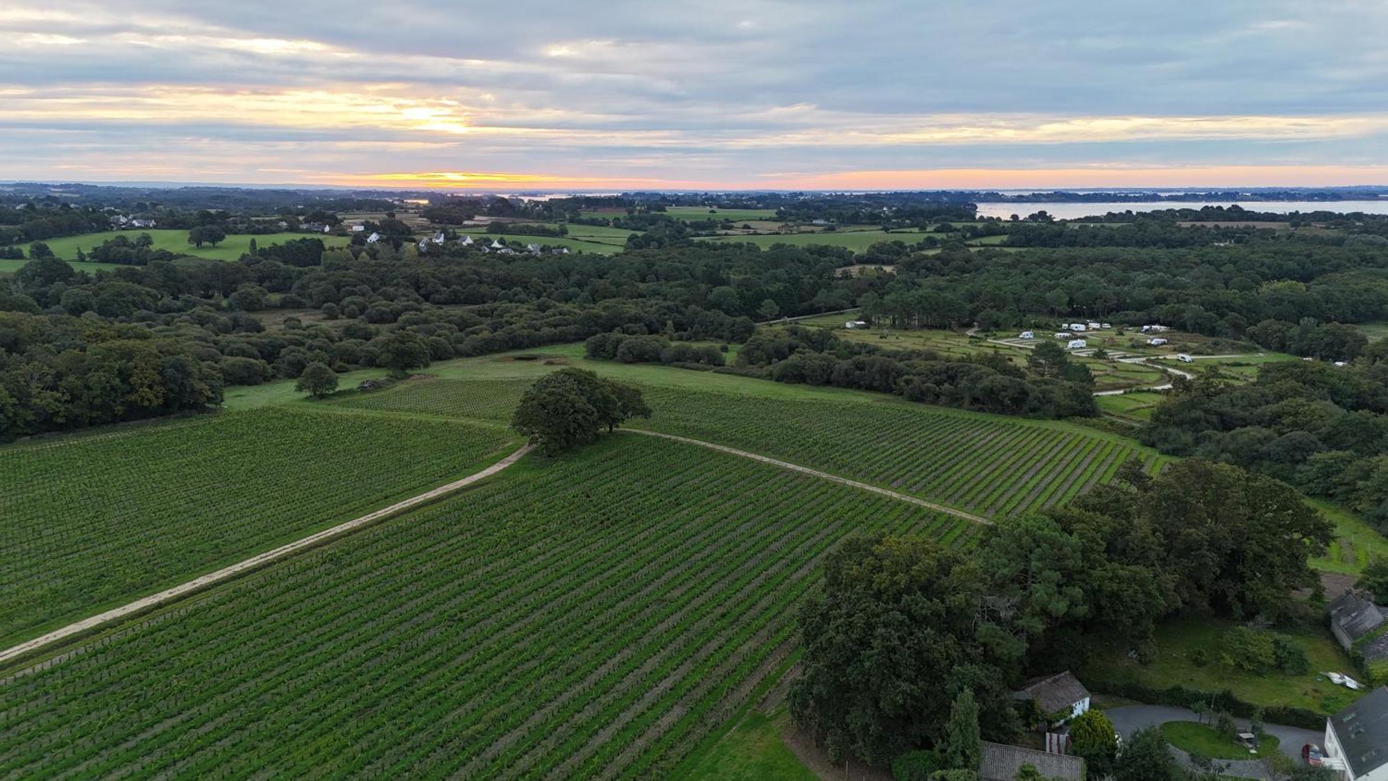 Gite -L'Appart- Au Vignoble Domaine Lamballe, Baden, Golfe Du Morbihan Exterior foto